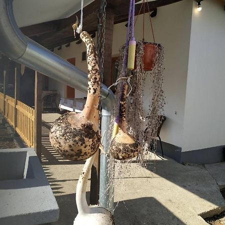 Seosko Turisticko Domacinstvo Milka Lägenhet Čačak Exteriör bild