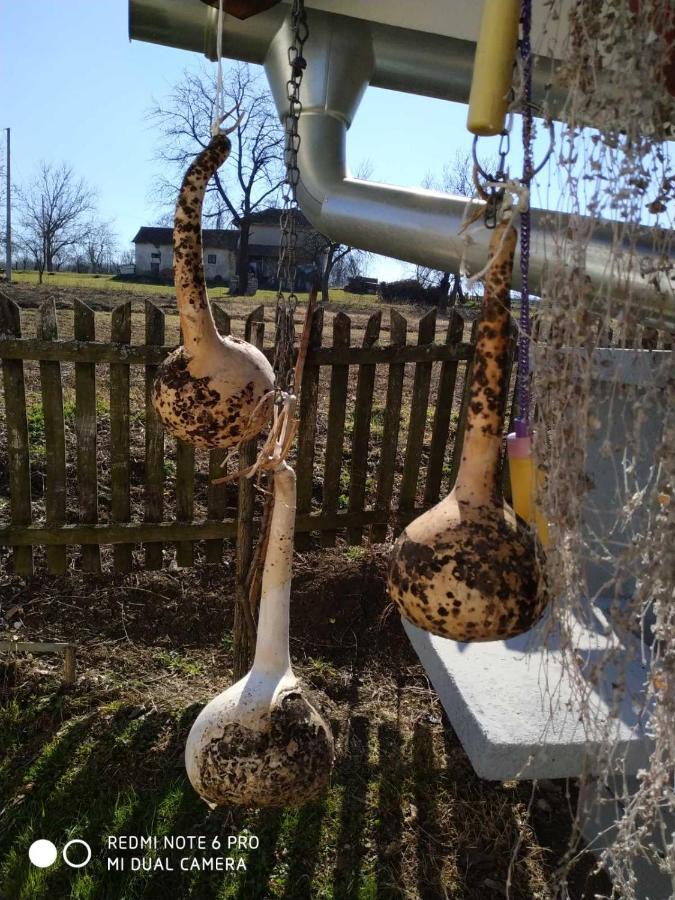 Seosko Turisticko Domacinstvo Milka Lägenhet Čačak Exteriör bild
